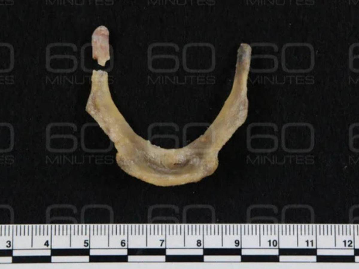 Fotos inéditas y documentos del FBI revelan nuevos detalles sobre muerte de Jeffrey Epstein