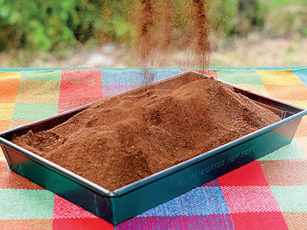 <i>Harina de café: Un producto innovador obtenido de las cascara, ofreciendo una alternativa sostenible y nutritiva para la industria alimentaria.</i>