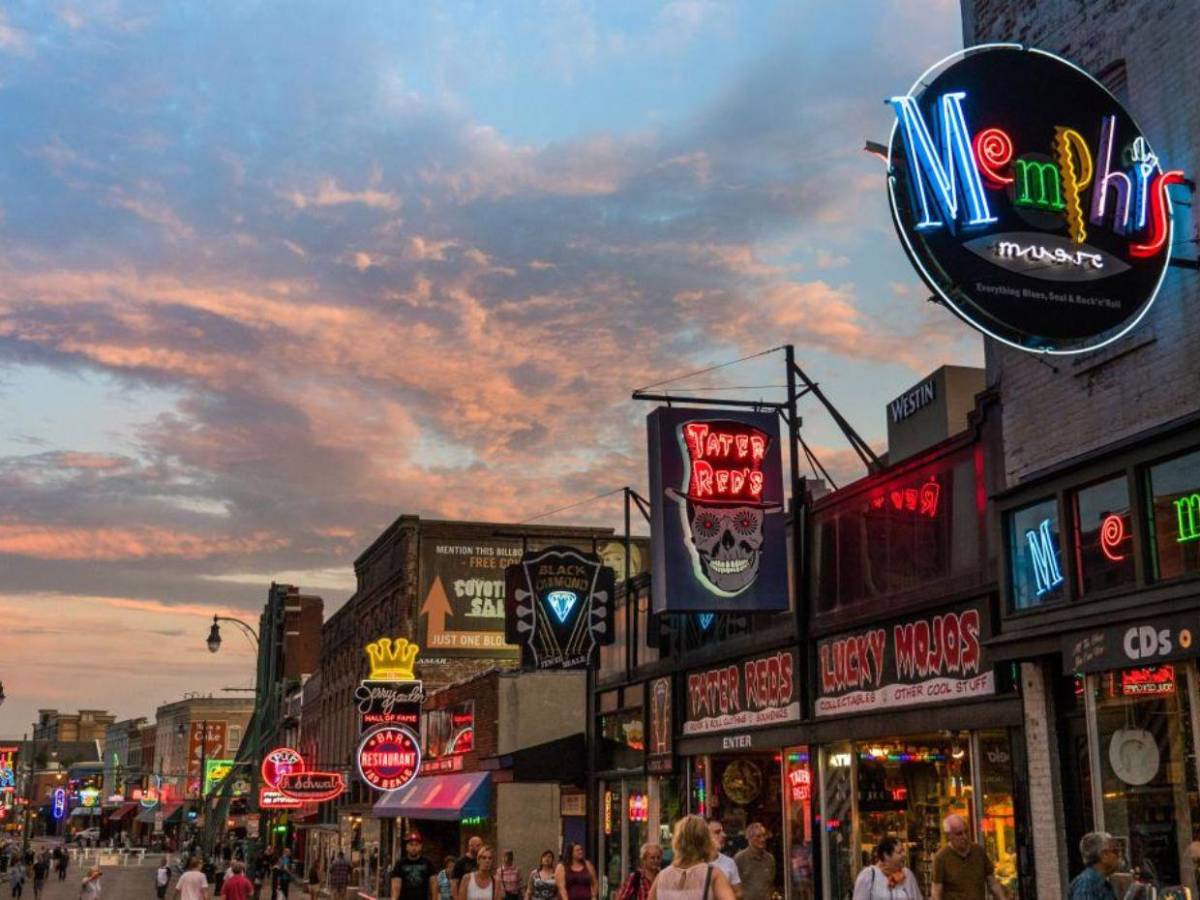 Pitbull dispara un arma por accidente contra su dueño en Memphis, Estados Unidos