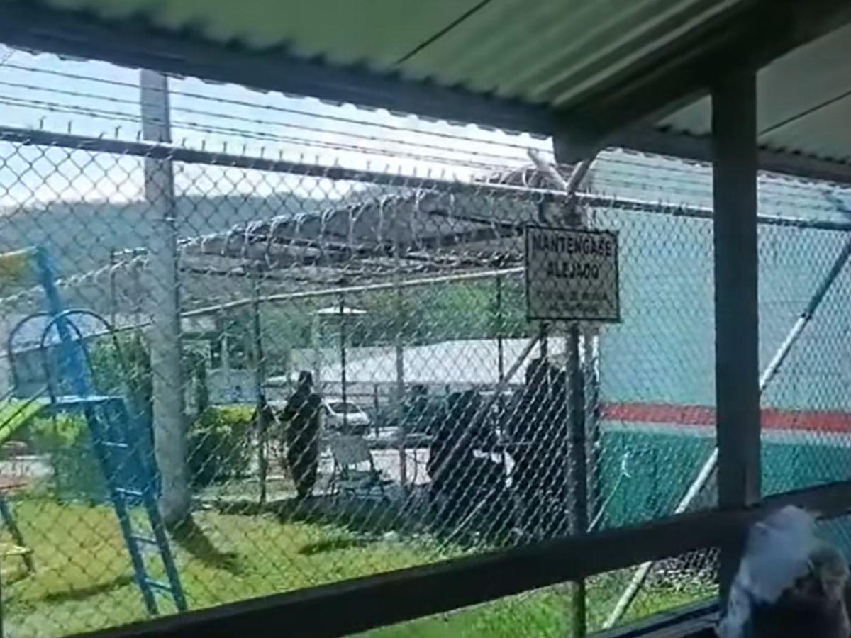 Gritos y gas lacrimógeno en El Pozo: ¿qué pasó en la cárcel de máxima seguridad de Ilama?