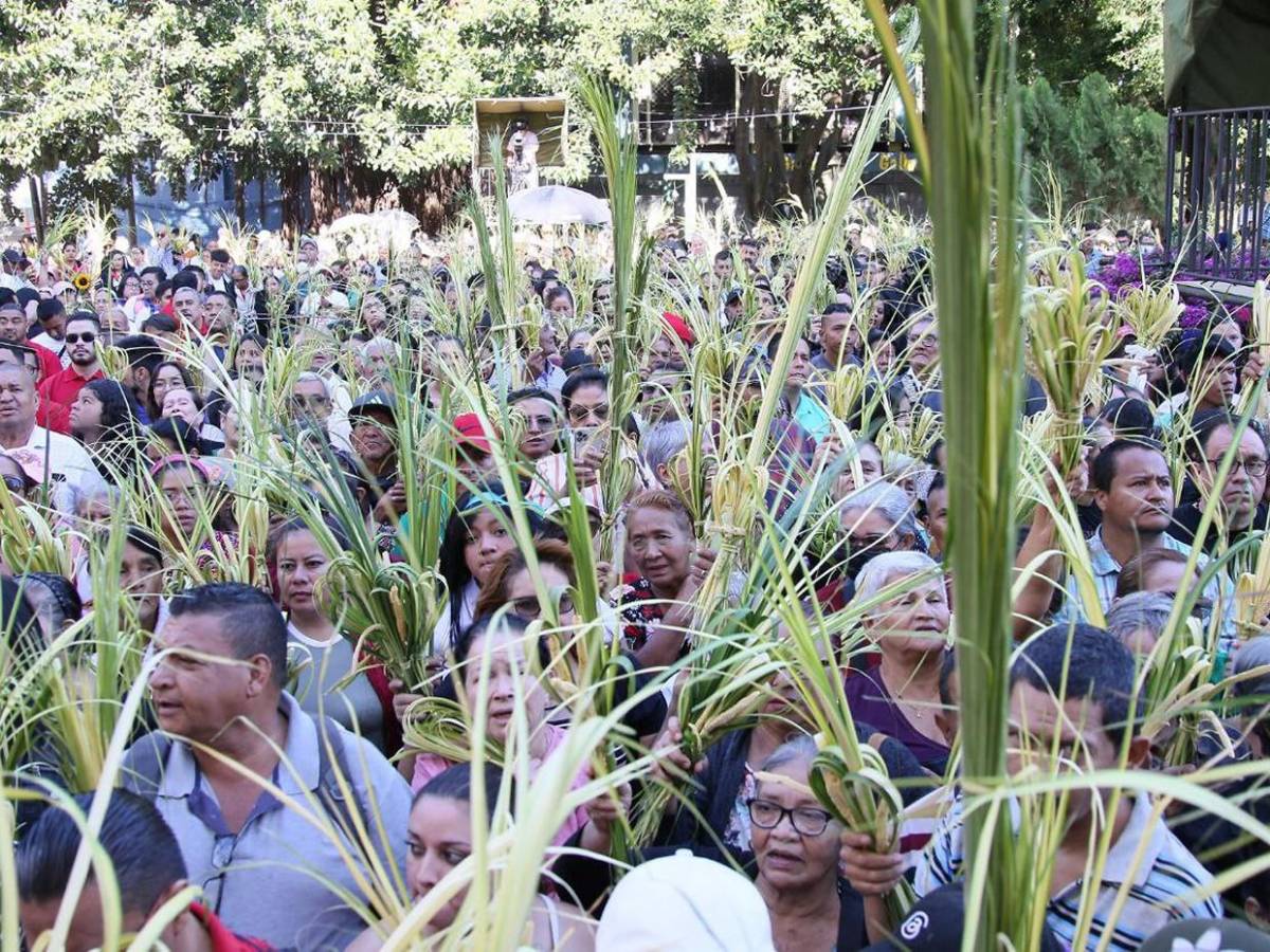 Las mejores imágenes que dejó el Domingo de Ramos de 2025 en Honduras Las mejores imágenes que dejó el Domingo de Ramos de 2025 en Honduras