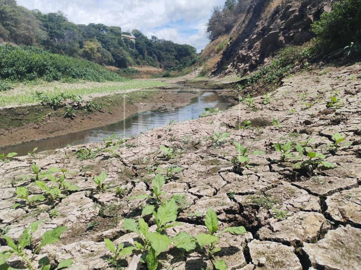 Como un hilo de agua: así está este 7 de septiembre el río Guacerique que agoniza por la sequía