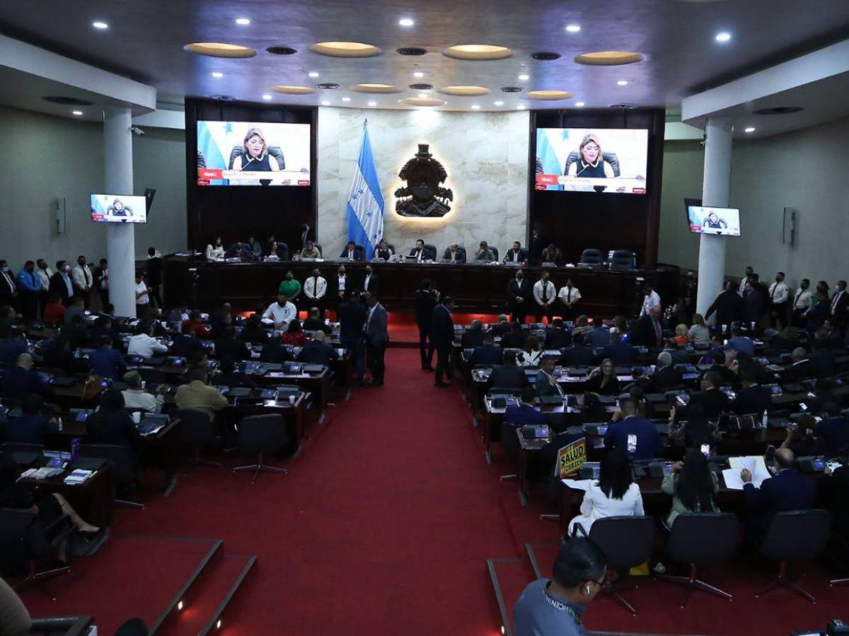 ¿Quiénes son los diputados de la comisión que investigará la renuncia de Ana Paola Hall?