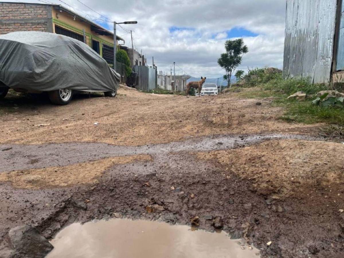 Calles destruidas complican la vida de familias en Monte de Los Olivos