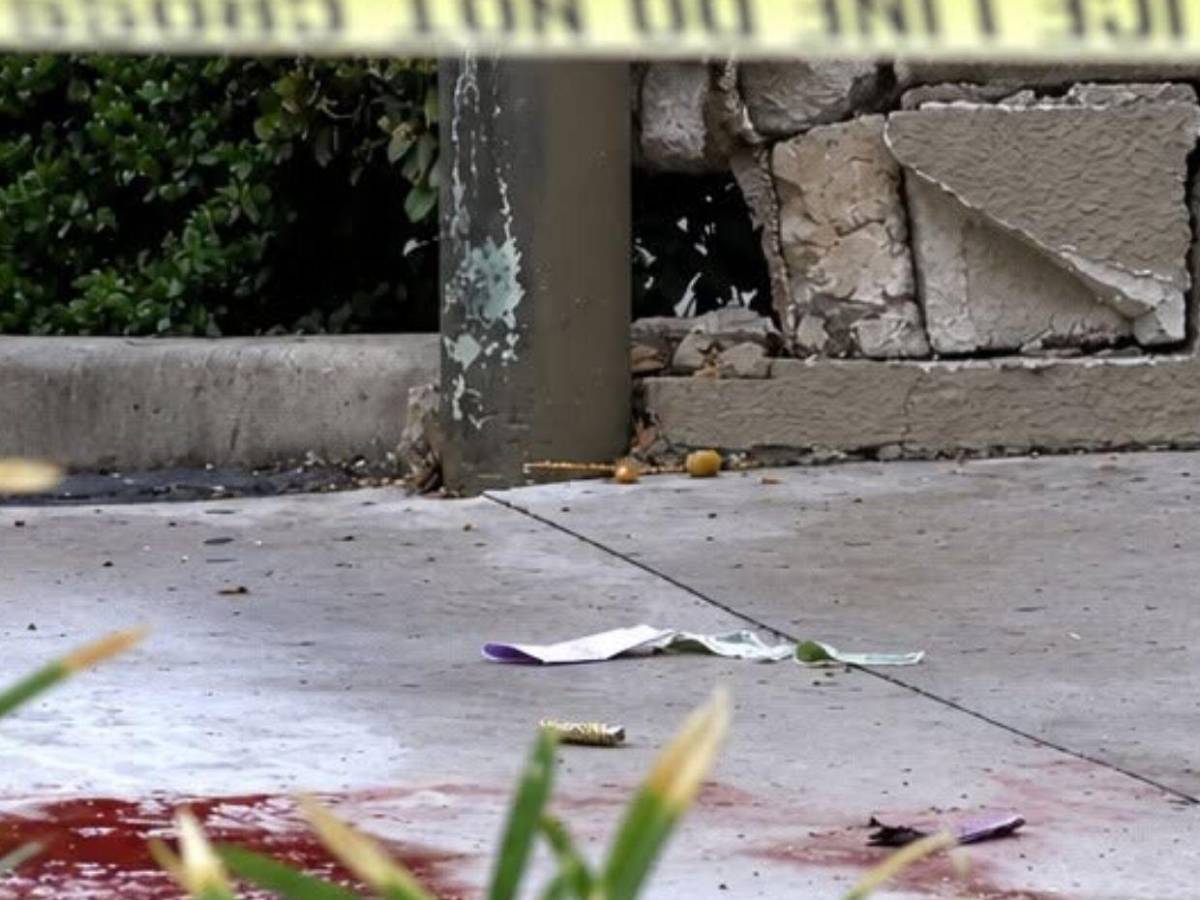 Mina Kurdian, adolescente de 15 años asesinada en EE UU; sospechan de su expareja