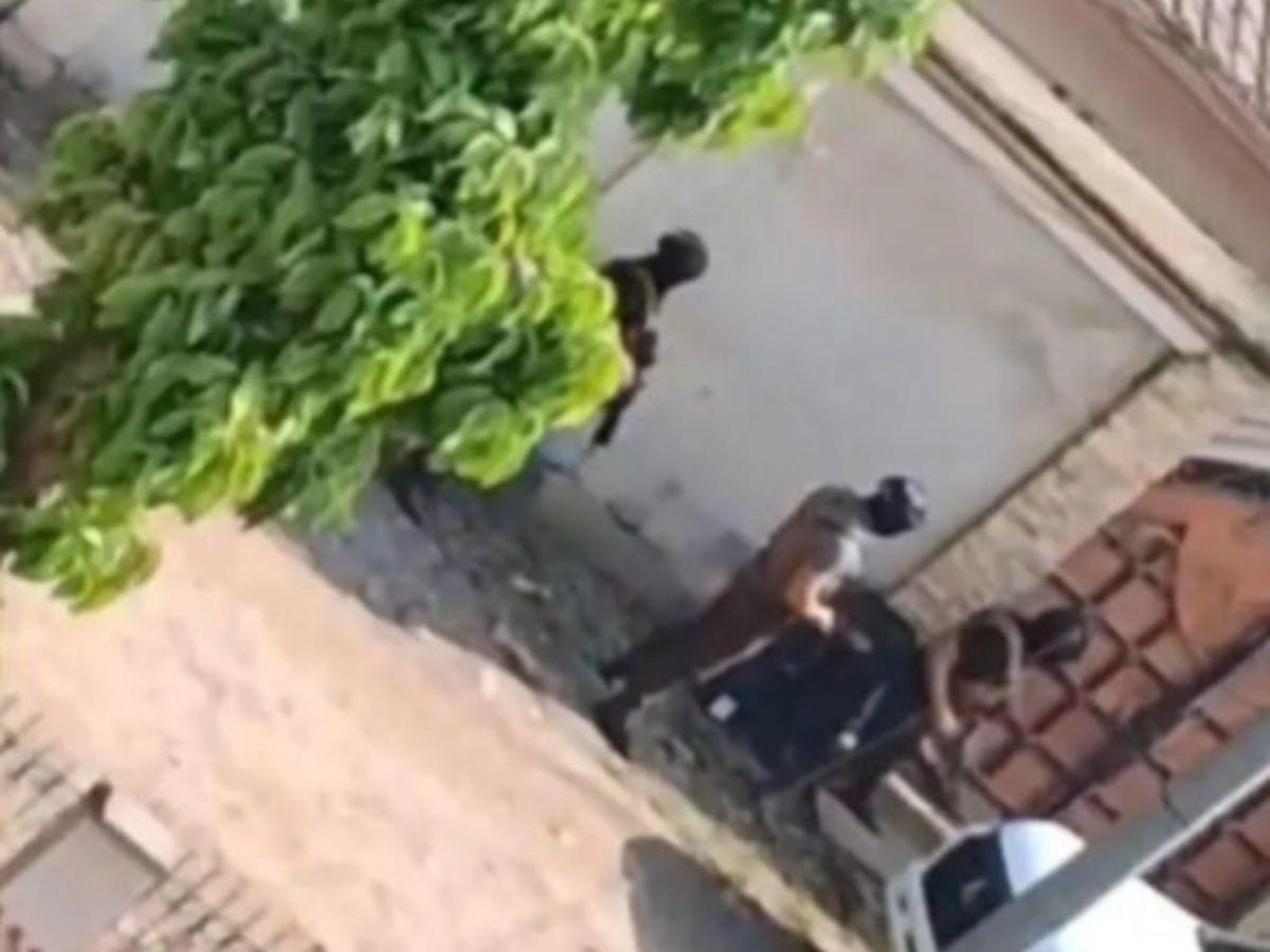 Le dispararon al hijo de un narco: 150 hombres sometieron a agentes de la Dipampco en Corinto