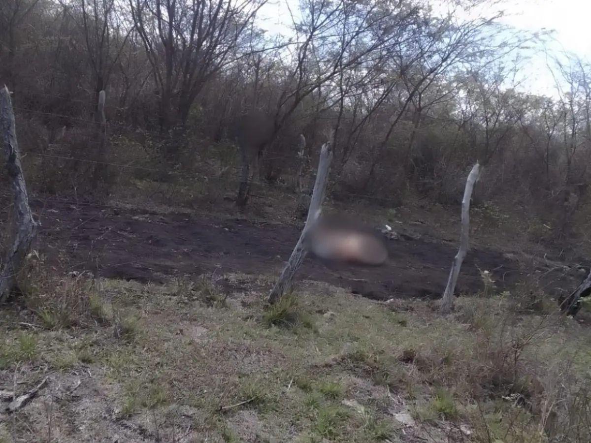 “Esto le pasará a quienes extorsionen en nuestro nombre”: Flor Matute, decapitada en  Sulaco