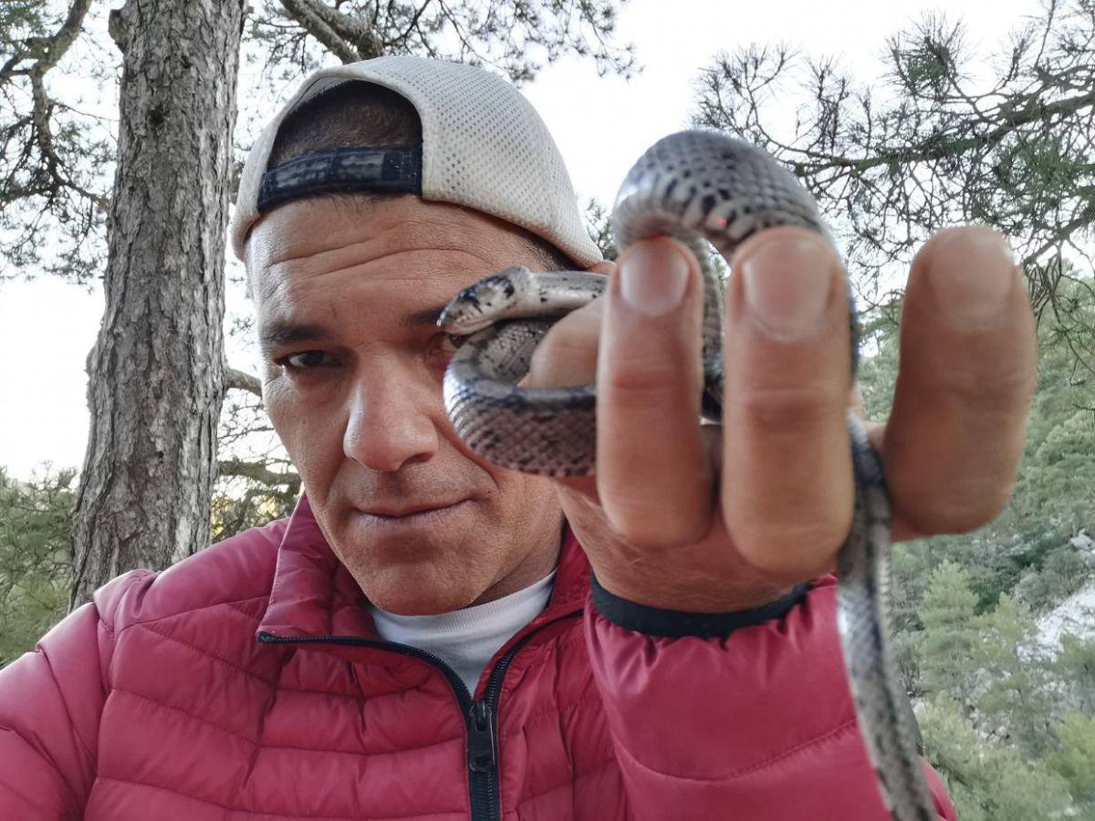 Animales comprados, gatos y perros envenenados: Situación en 'santuario' de Frank Cuesta