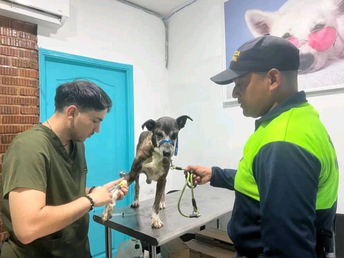 Josué Esperanza: el policía municipal que conmovió a Honduras en el Caso Zeus​​​​