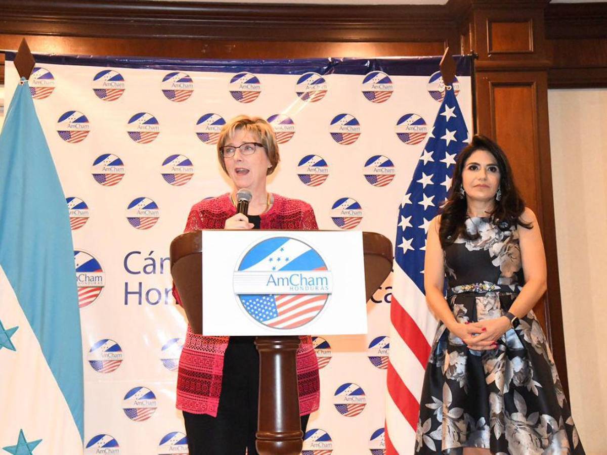 “Hasta el congreso de EEUU está preocupado por el tratamiento de la inversión extranjera en Honduras”, lamenta embajadora Dogu