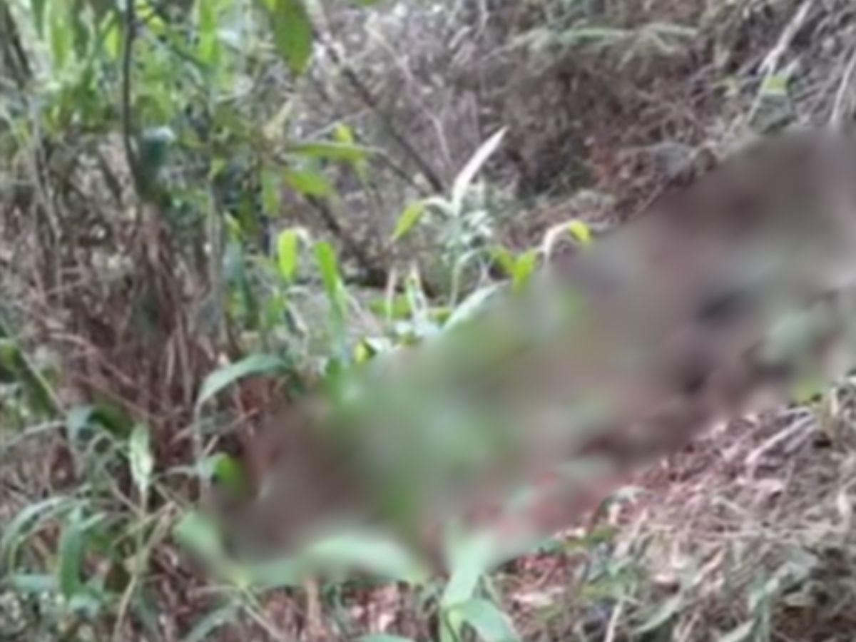 Solo hallaron su ropa y su pelo: Vanessa Verde, encontrada en estado de descomposición