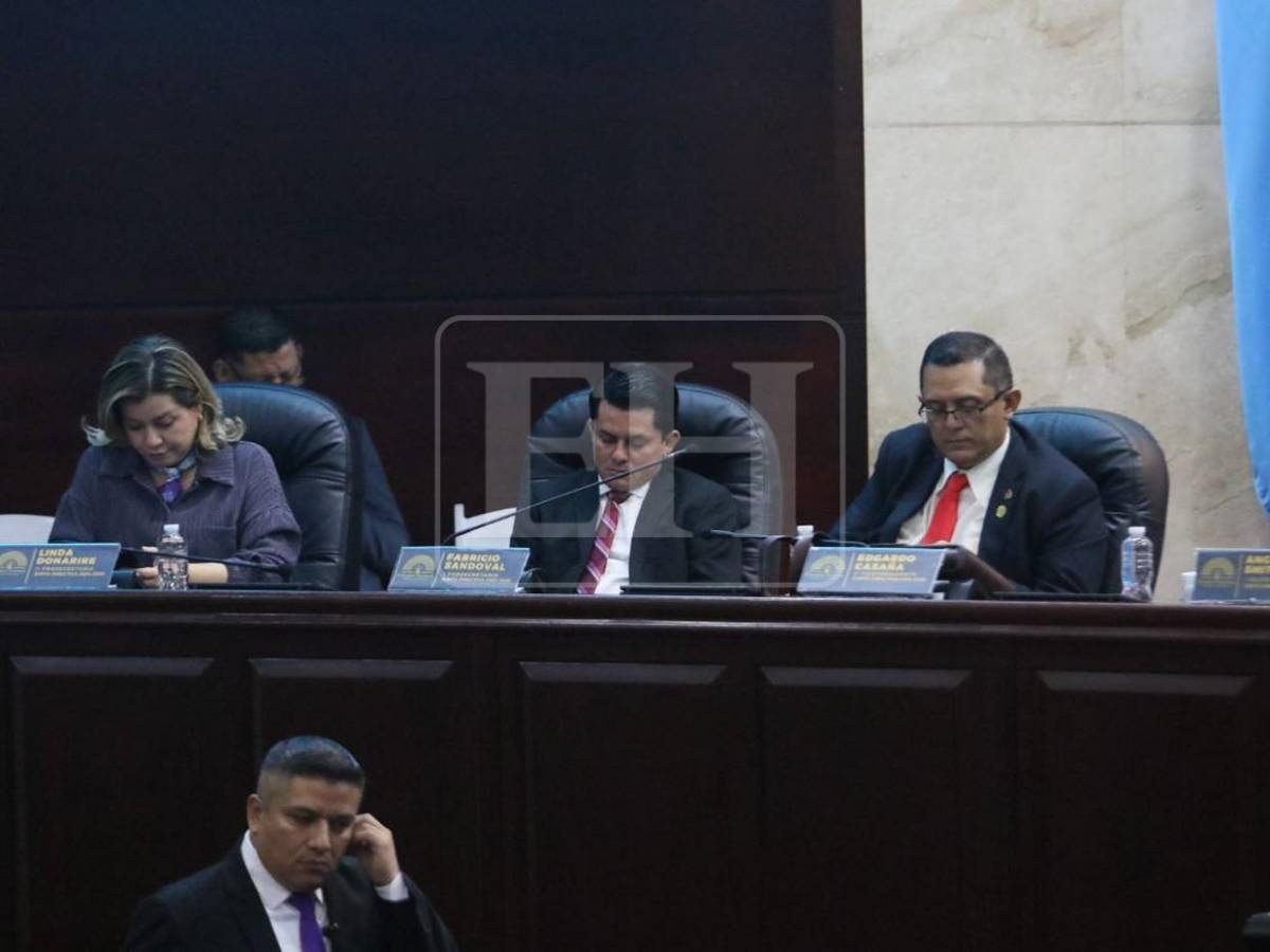 Sin quorum y pegados al teléfono: así estuvo la sesión convocada por Luis Redondo