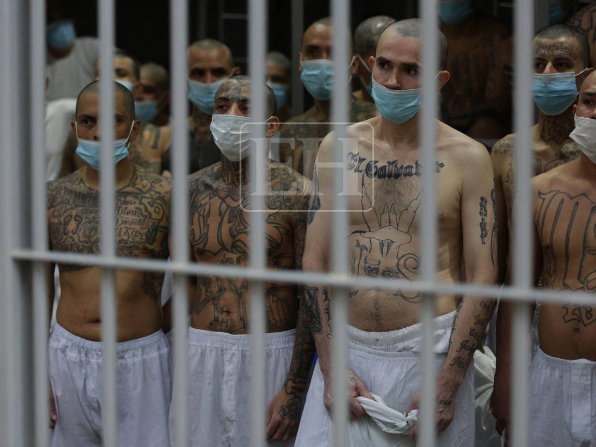 Pandilla 18 y MS-13: ¿Cuáles son los grupos criminales sancionados bajo el Escudo de las Américas?