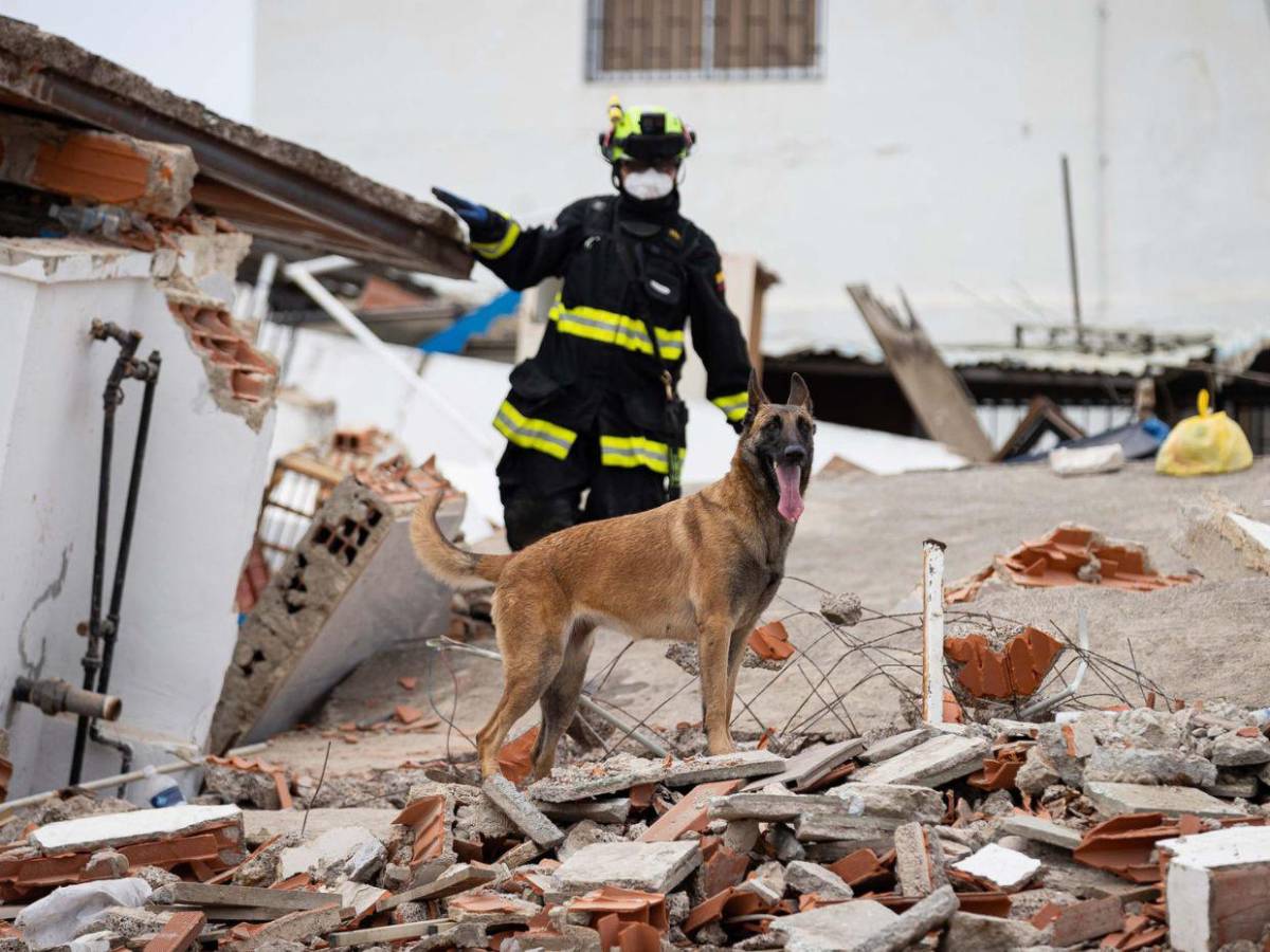 Buscan a 21 personas atrapadas en Venezuela tras terremotos: avisaron que están en una “cápsula de aire”