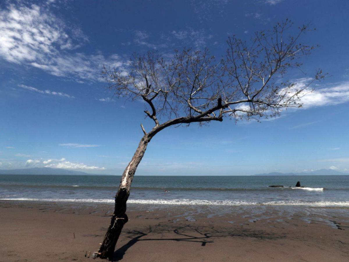 Las impactantes imágenes de Cedeño, la comunidad hondureña que el mar está borrando del mapa