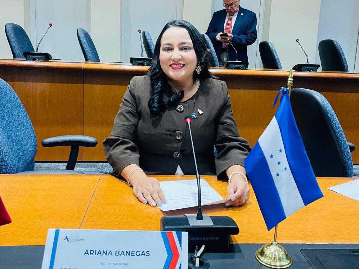 Estos son los diputados electos del litoral hondureño tras las elecciones