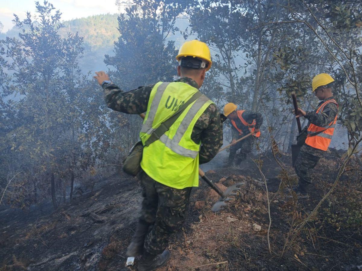 ¡Arde en llamas Triquilapa! El fuego devora uno de los pulmones de Tegucigalpa
