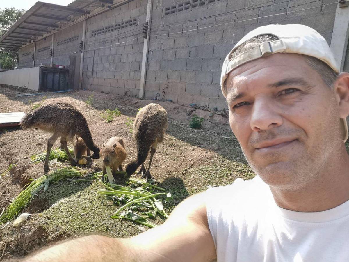 Animales comprados, gatos y perros envenenados: Situación en 'santuario' de Frank Cuesta