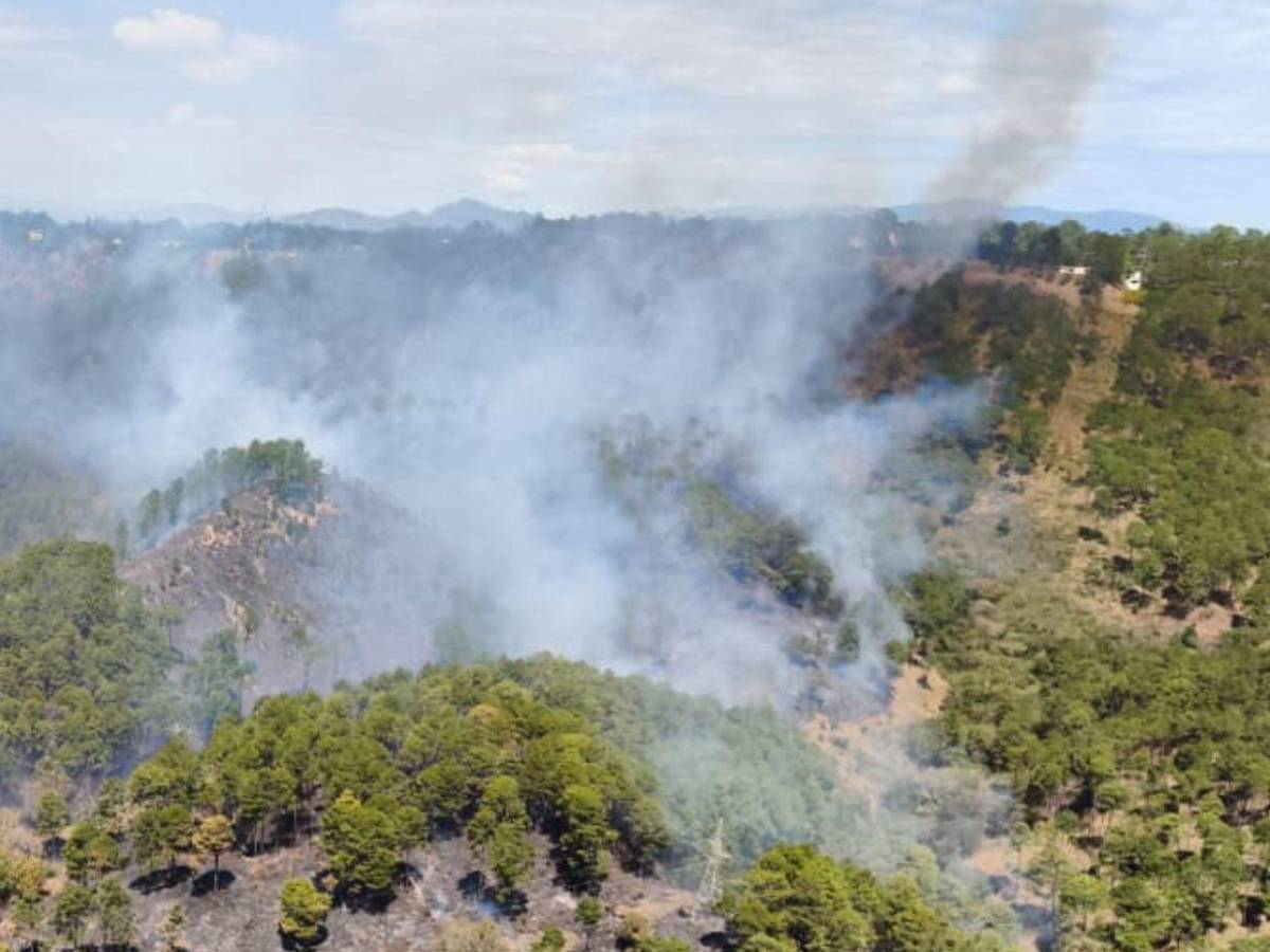 FF AA combaten siete incendios forestales en distintas zonas del país