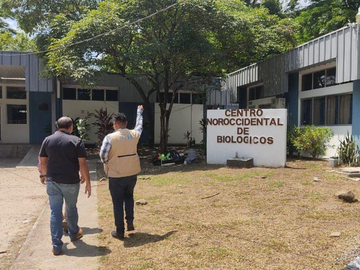 Remueven de su cargo al supuesto responsable del daño de las vacunas en la zona norte de Honduras