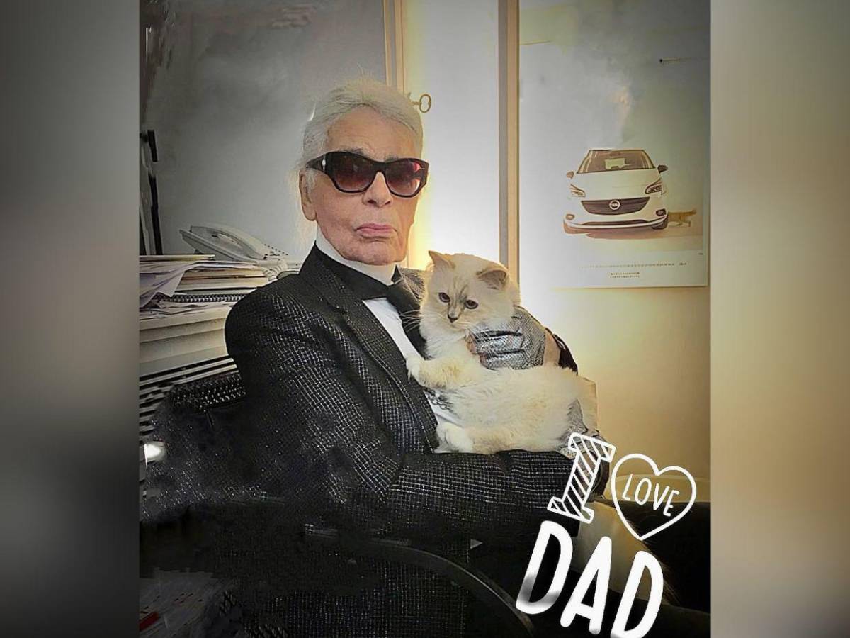 Choupette, la gata de Karl Lagerfeld, aún no recibe su millonaria herencia