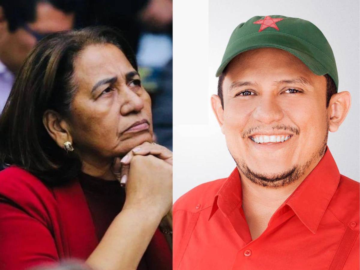 Diputados de Libre que buscan ser reelectos en las primarias del 9 de marzo