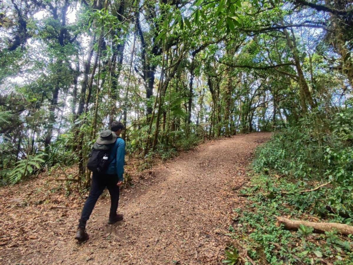 Ruta del oxígeno: parques nacionales de Honduras para visitar esta Semana Santa 2026