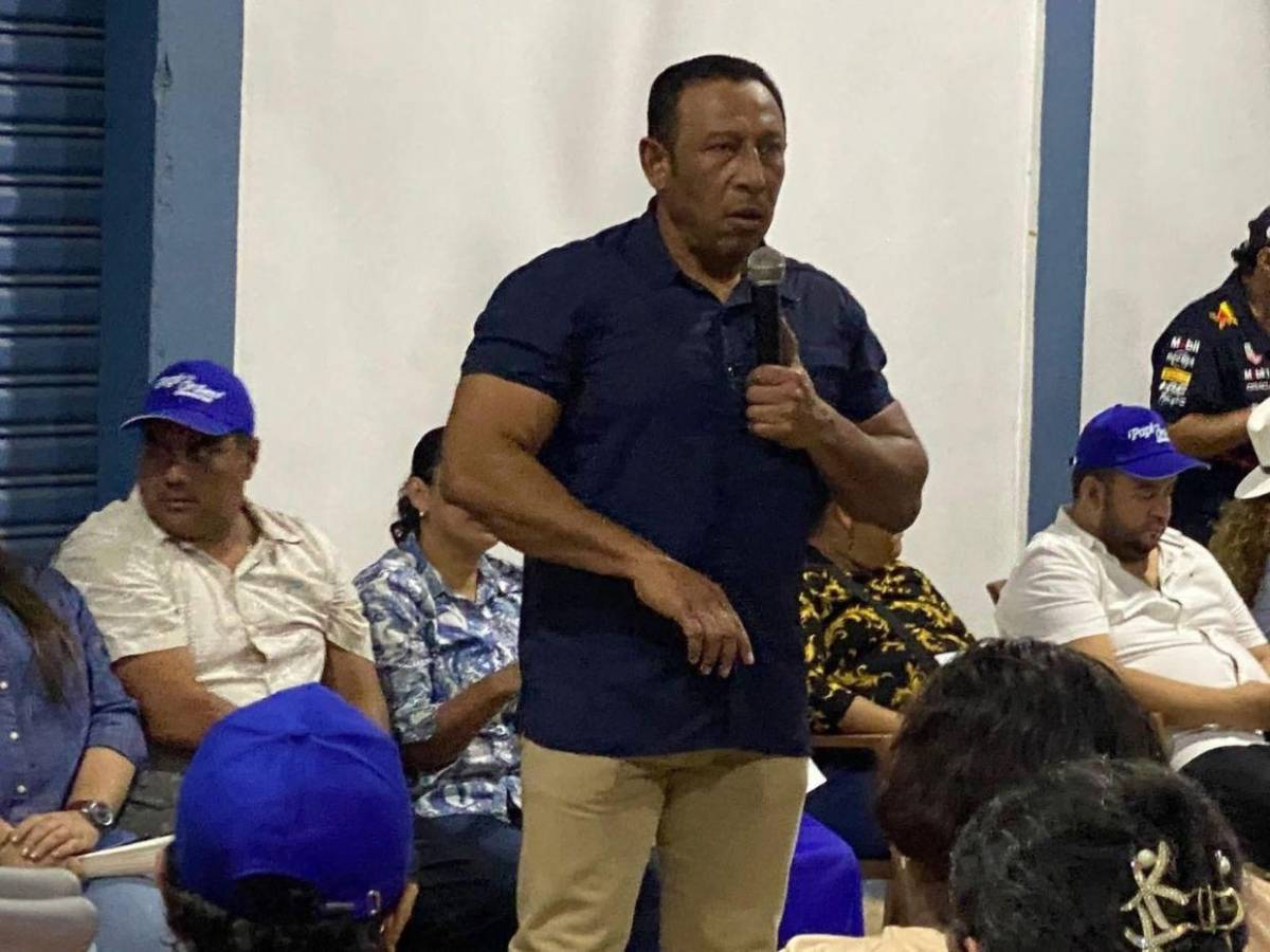 Los diputados más longevos que integrarán el Congreso Nacional 2026-2030