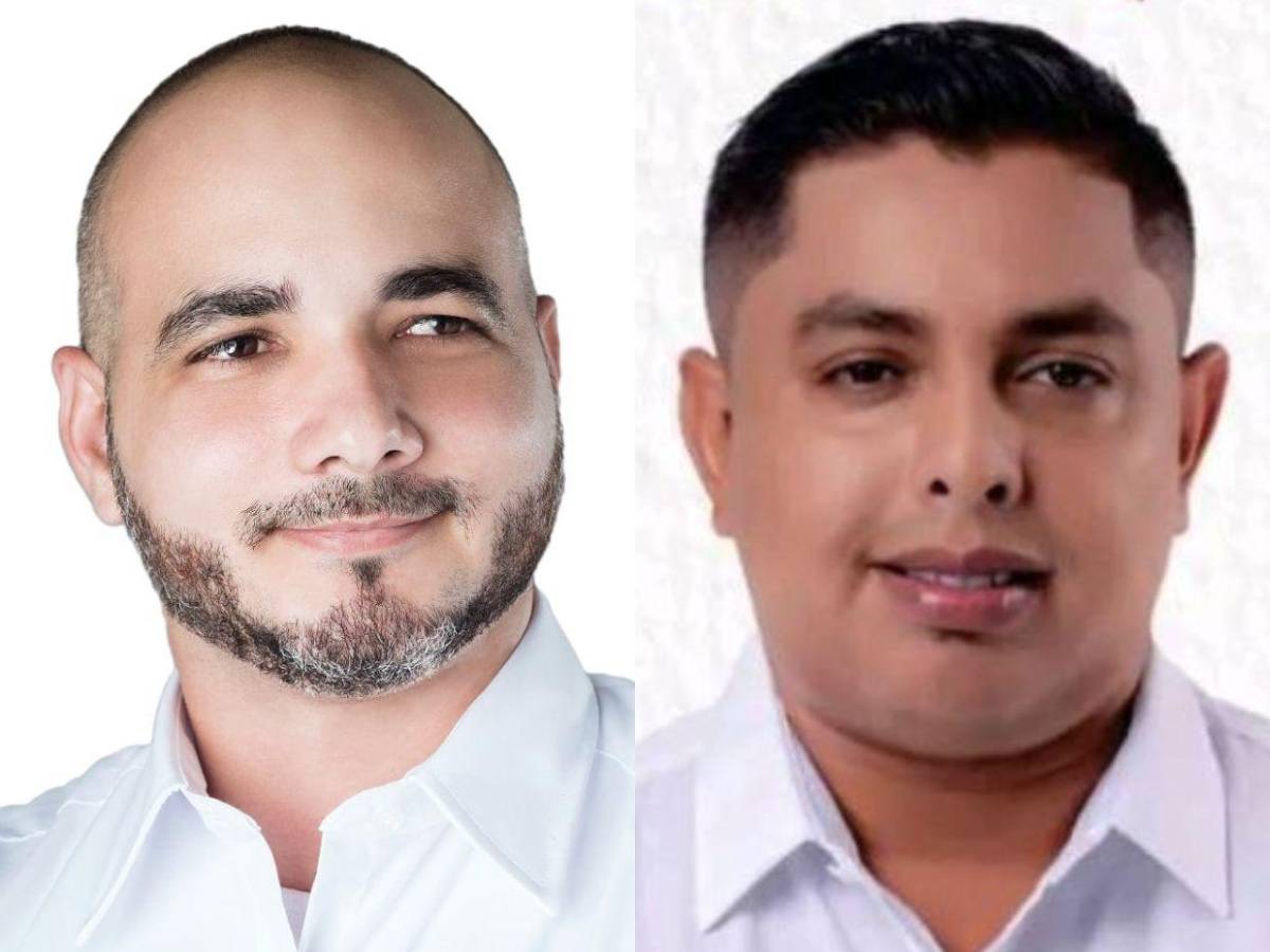 Diputados de Libre que buscan ser reelectos en las primarias del 9 de marzo