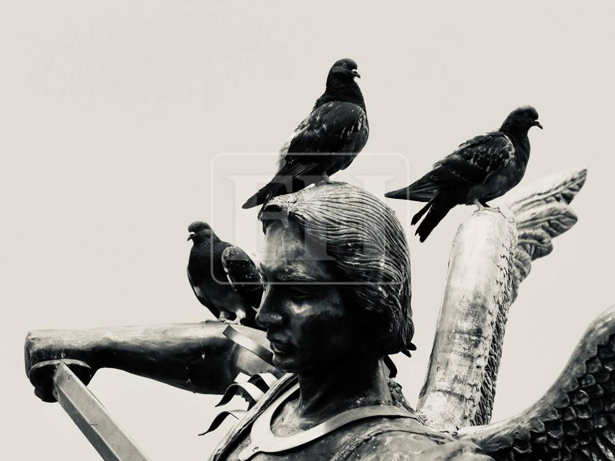 El vuelo de las palomas transforma la Iglesia Los Dolores en una postal única