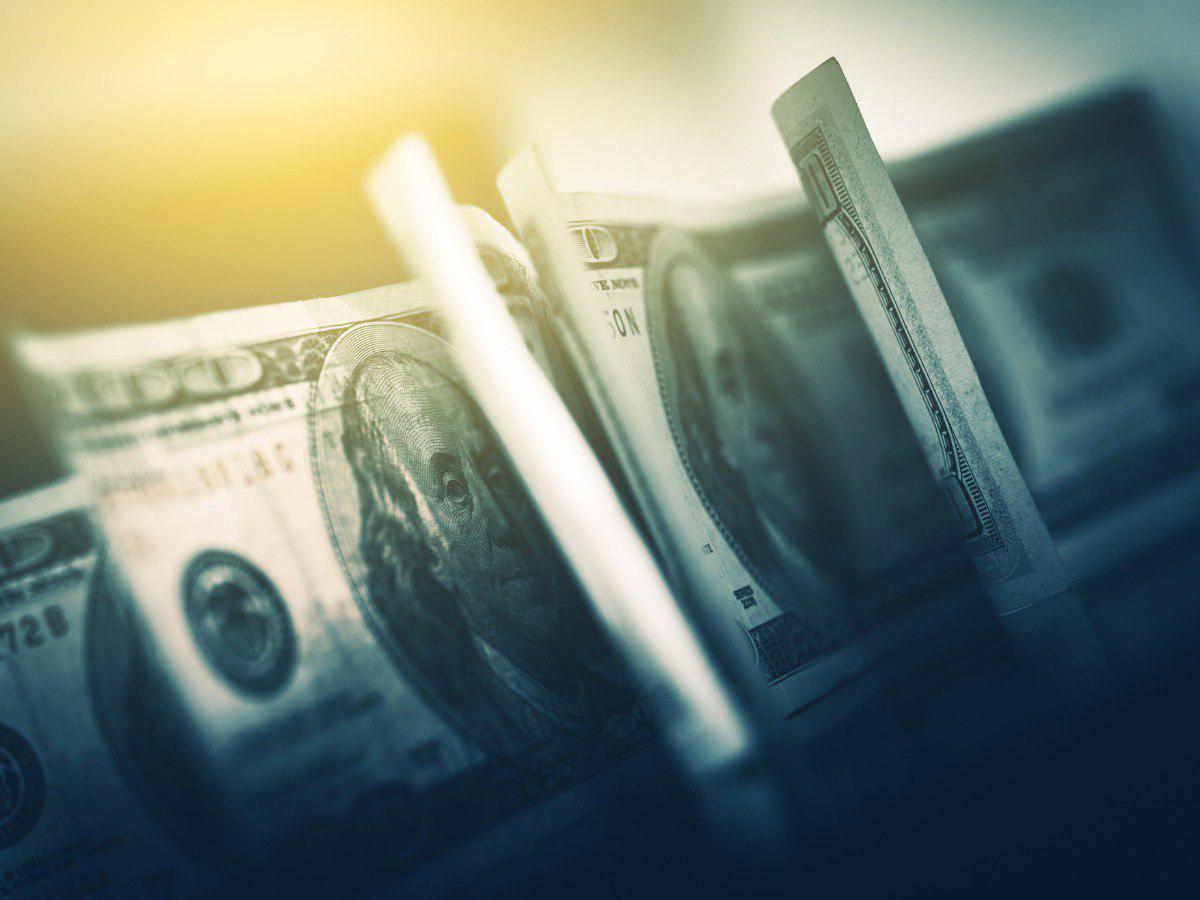 Conozca cuánto ha dejado en divisas la exportación de café a Honduras