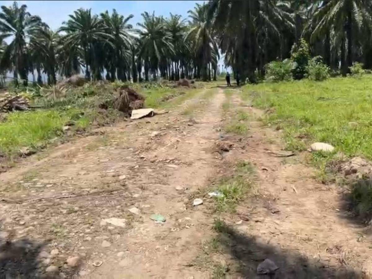 Un hombre la citó, pero tres sujetos armados la raptaron: lo que se sabe del crimen de Katherine Mejía