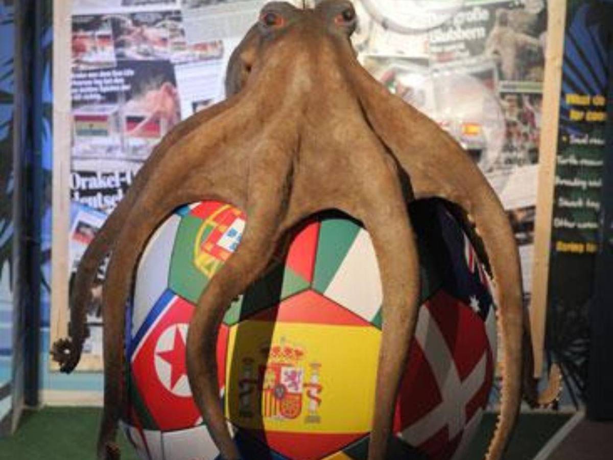 De los pulpos a los algoritmos: la inteligencia artificial elige al campeón del Mundial 2026