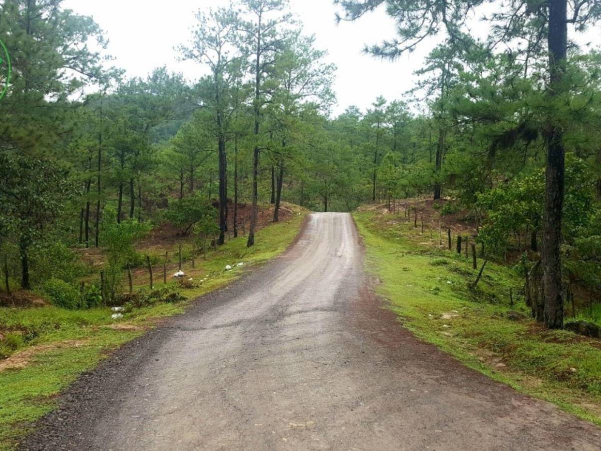 Hombres armados lo interceptaron: así fue el rapto del candidato a diputado Mario Reyes