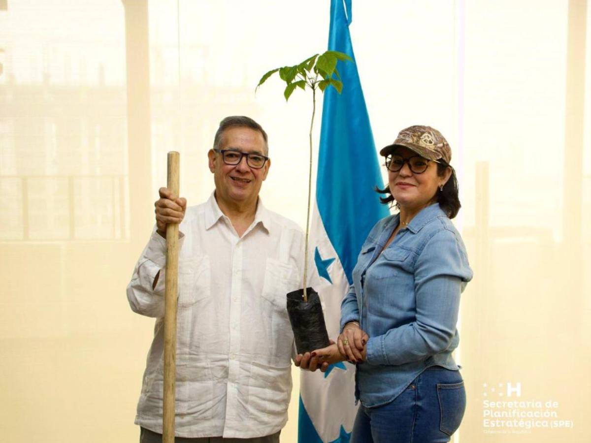 Baño de lujo en su oficina: la buena vida de Ricardo Salgado en Planificación Estratégica