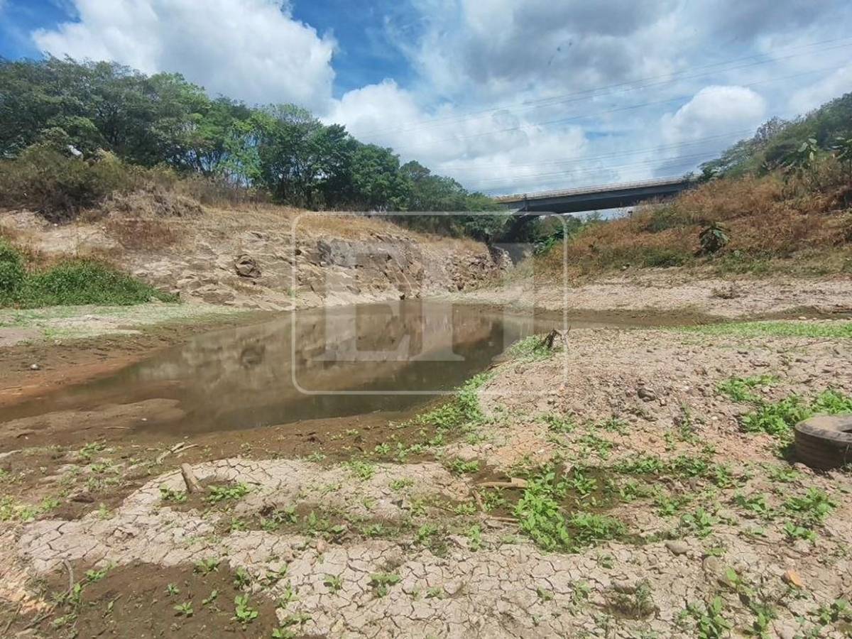 Como un hilo de agua: así está este 7 de septiembre el río Guacerique que agoniza por la sequía