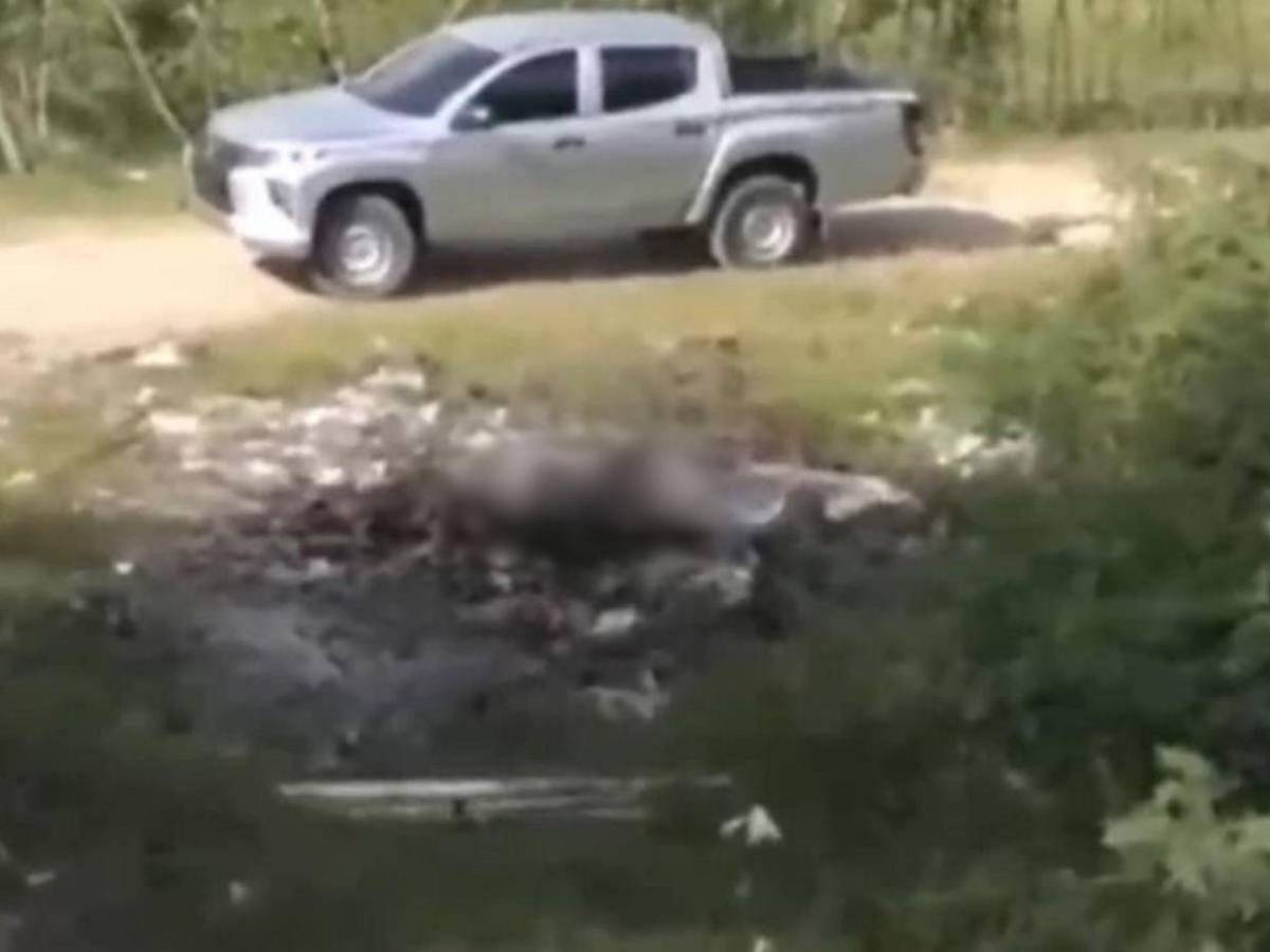 Toallas y maletas usaron para ocultar cadáver de Franklin Villeda y poder incinerarlo