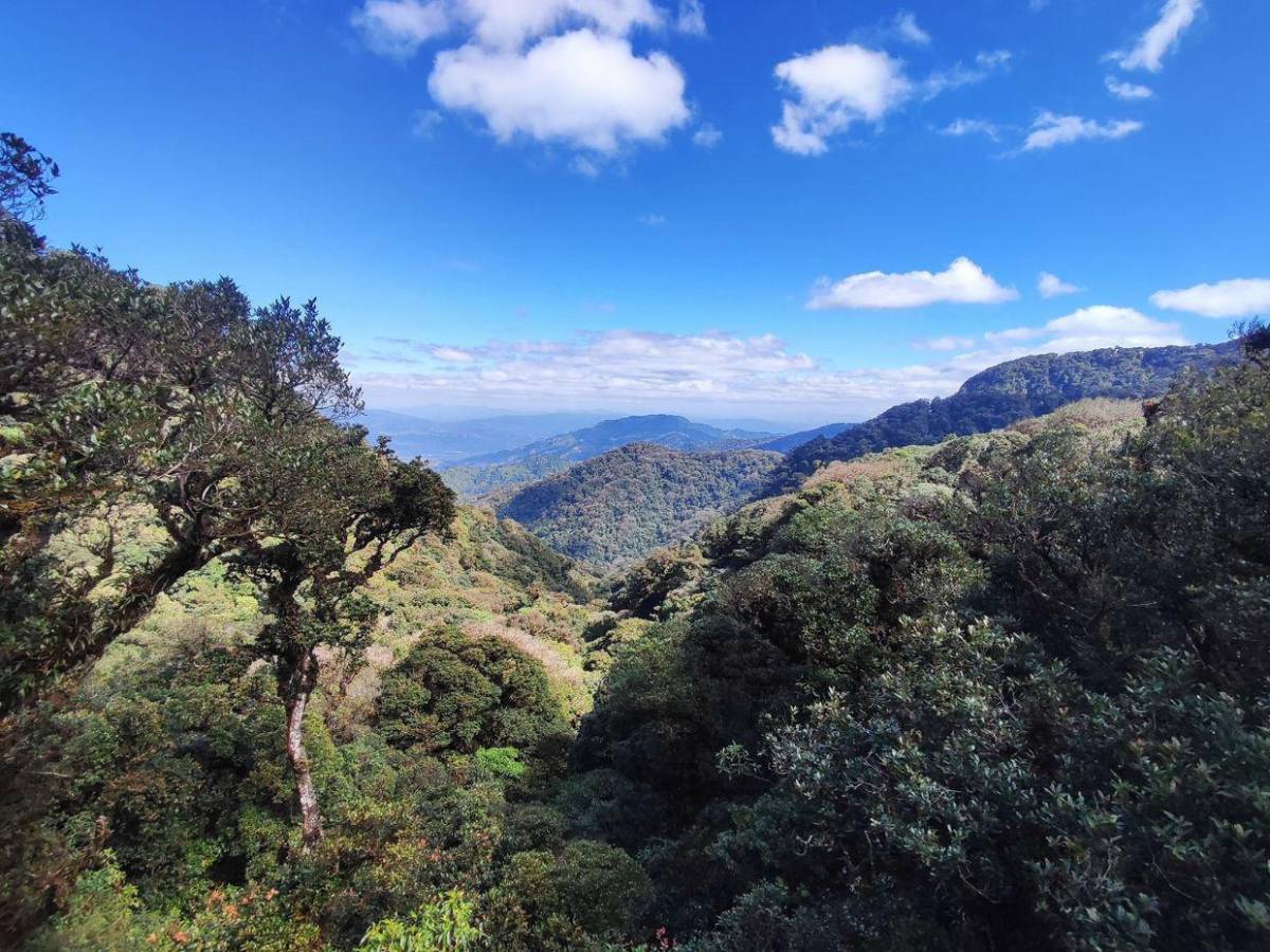 Conoce los parques nacionales de Honduras ideales para visitar en Semana Santa