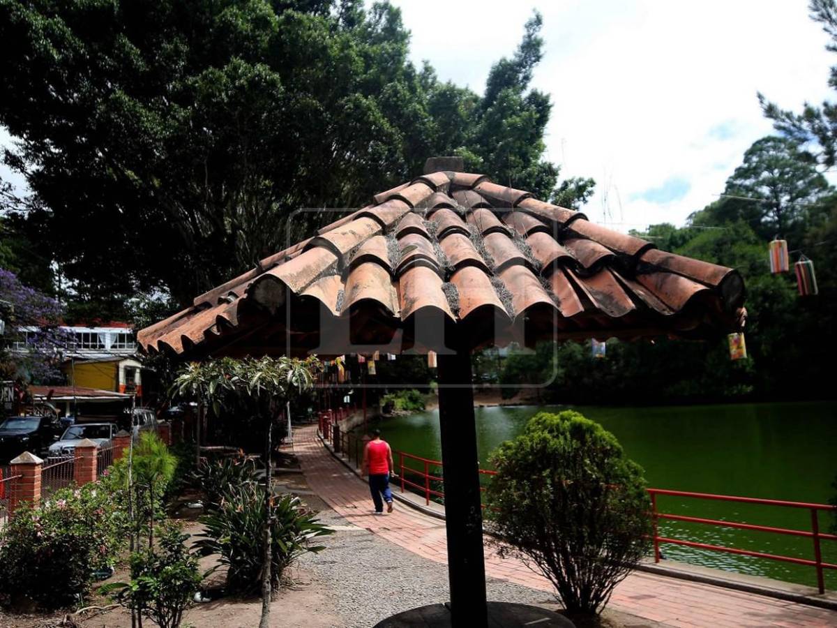 Santa Lucía: el municipio romántico que enamora con historia, flores y miradores