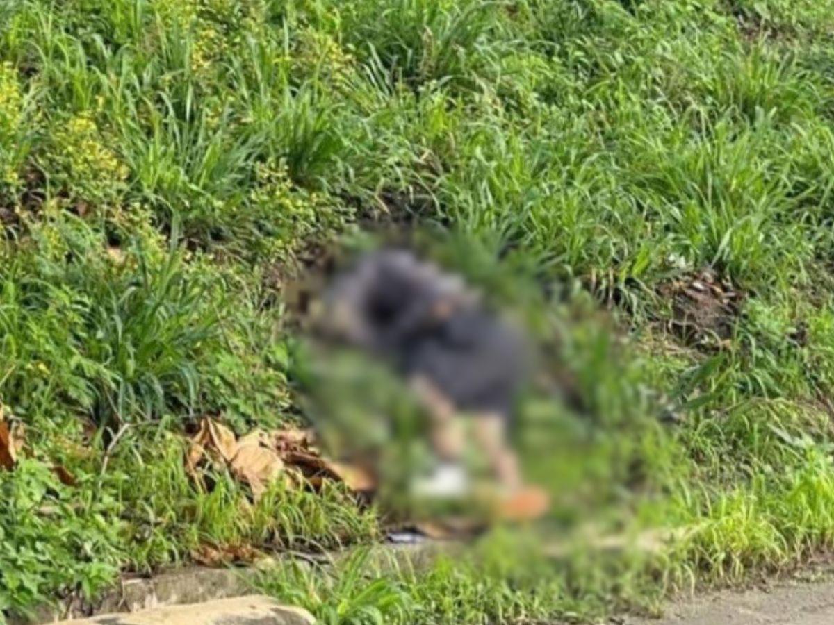 Sobrevivió a un atentado y semanas después fue asesinado: caso de Albin Cárcamo en SPS