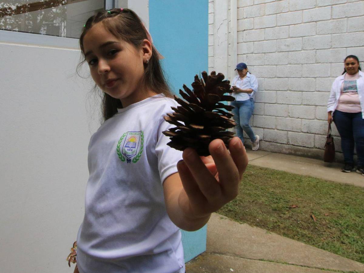 Así aprendieron los Héroes Ecológicos cómo potabilizar el agua de la capital