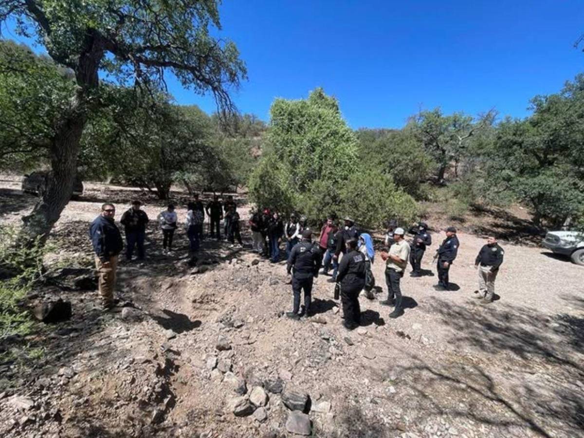 Voluntarios buscan en México a la madre de Savannah Guthrie tras pista anónima