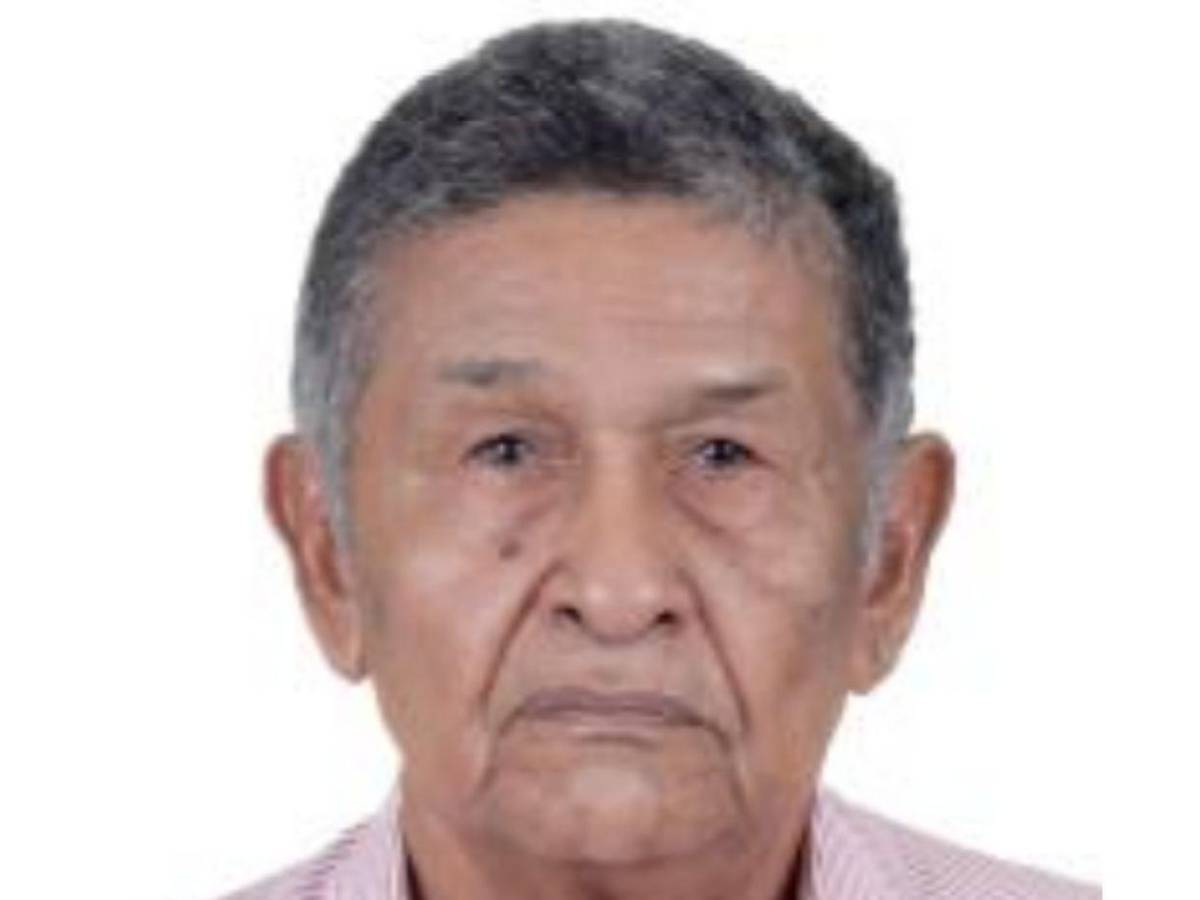 Estos son los precandidatos a diputados, en Cortés, por el movimiento ¡Vamos Honduras!