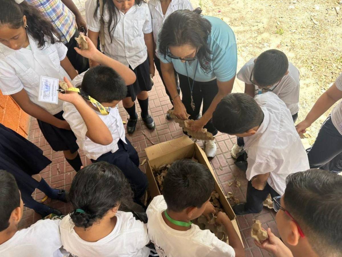 Escuelas Amigables: Niños ya son expertos en elaboración de compostaje