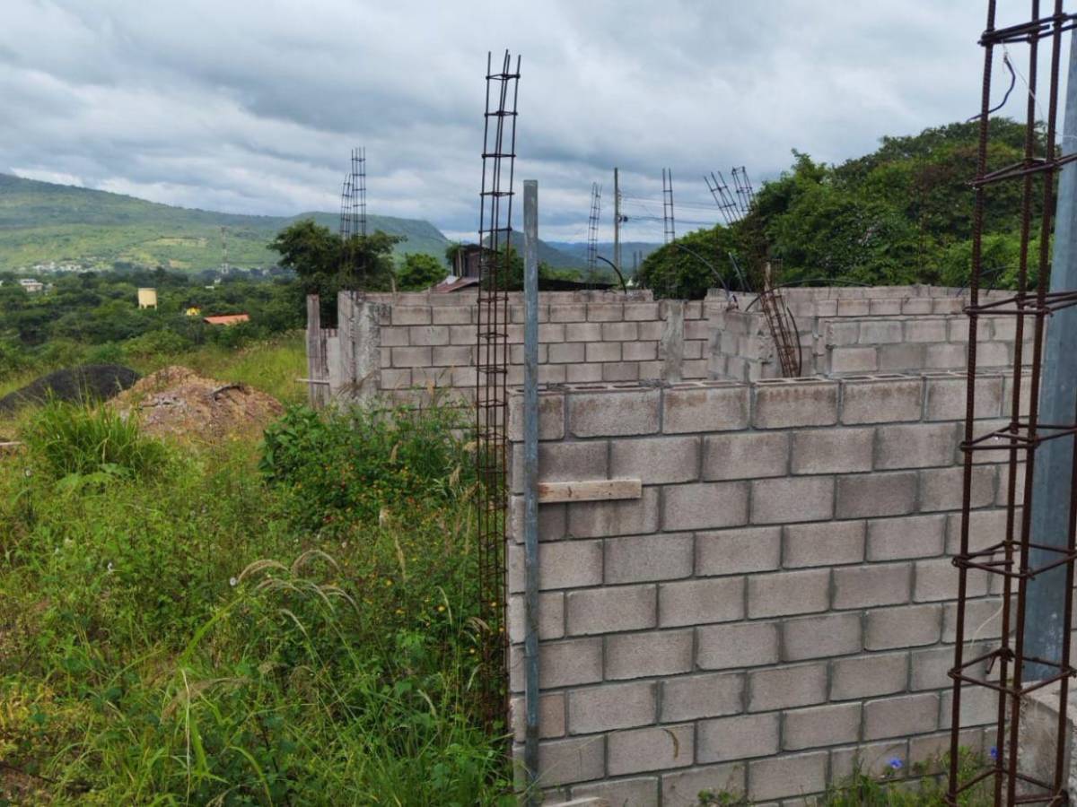 Maleza y abandono rodean el proyecto Villa Solidaridad en el Distrito Central