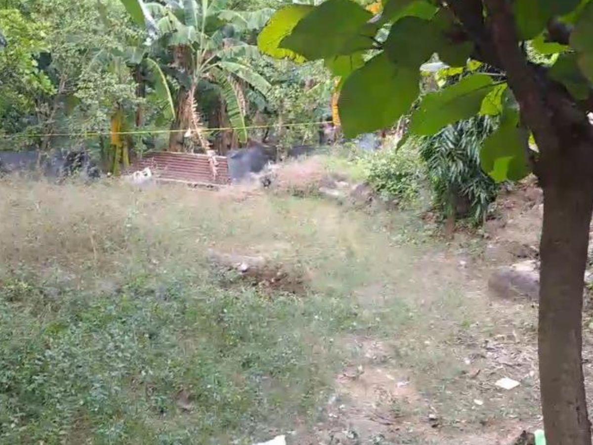 En descomposición y dentro de un pozo hallan a Aníbal Sánchez, exaspirante a alcalde del PN