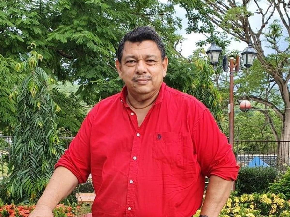 Diputados del Partido Liberal que buscan reelegirse en el Congreso Nacional