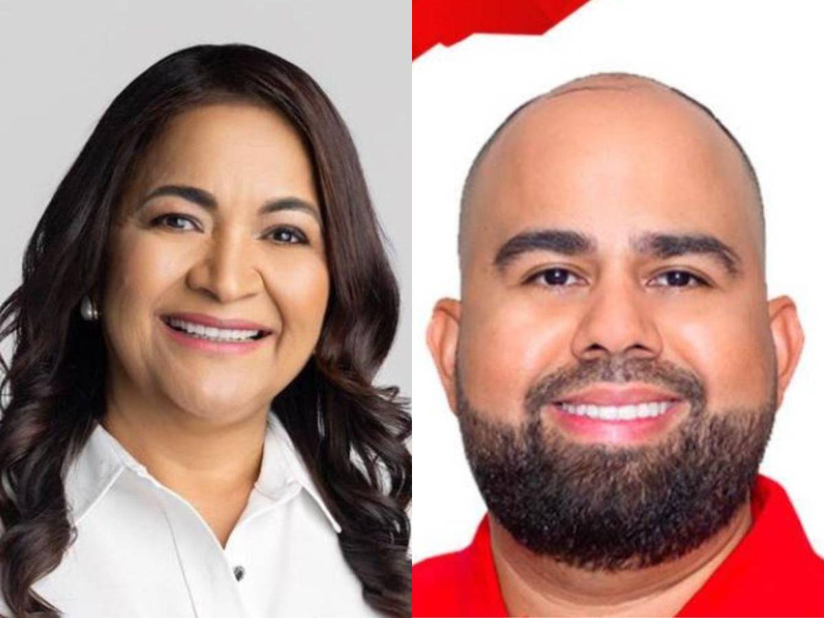 Diputados de Libre que buscan ser reelectos en las primarias del 9 de marzo