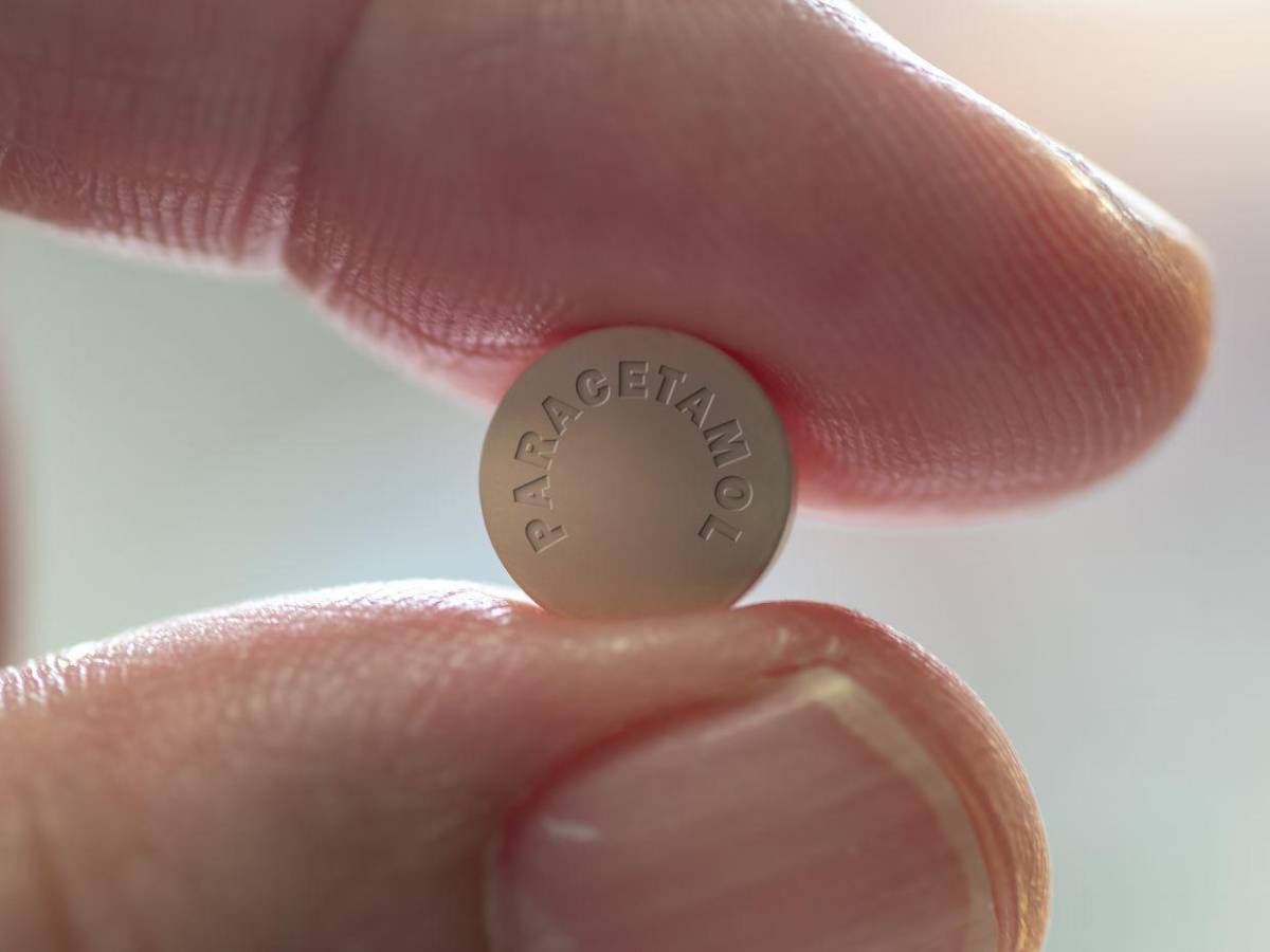 OMS: No hay evidencia científica de relación entre paracetamol y autismo, como dice Trump