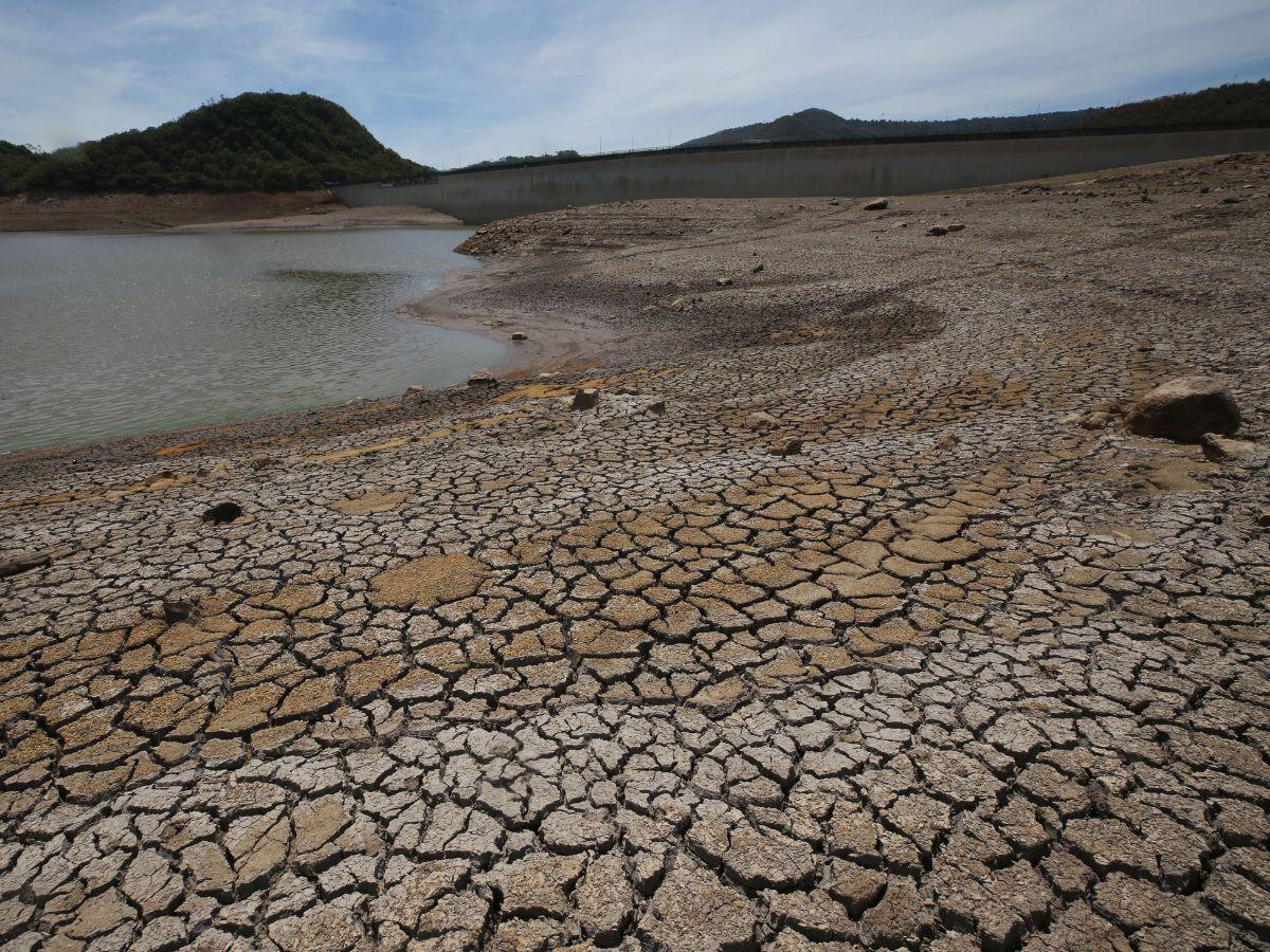 Declaran alerta verde en 64 municipios del corredor seco de Honduras por fenómeno de El Niño